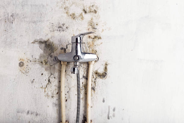 Best Office Mold Removal Services  in Marina, CA