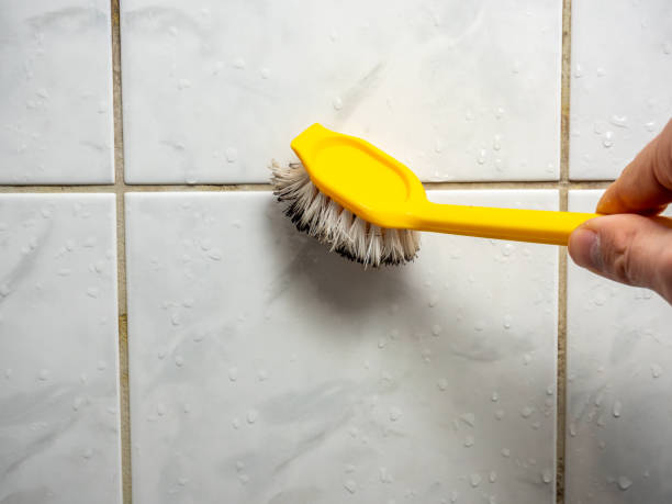 Best Affordable Mold Removal  in Marina, CA