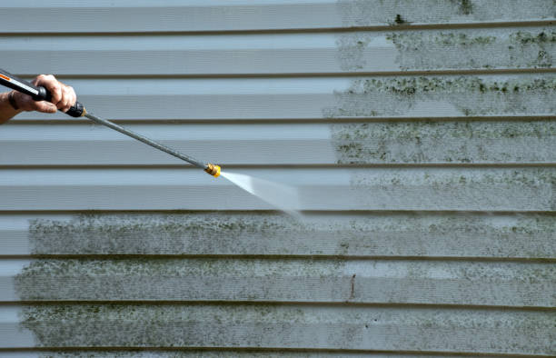 Best Residential Mold Removal  in Marina, CA
