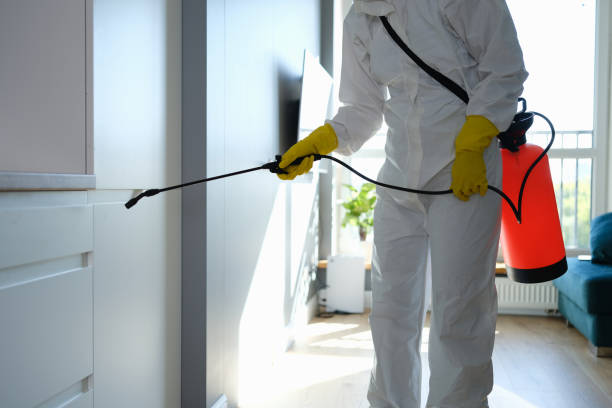 Best Certified Mold Removal  in Marina, CA