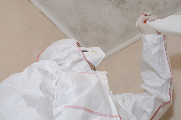 Best Commercial Mold Removal  in Marina, CA