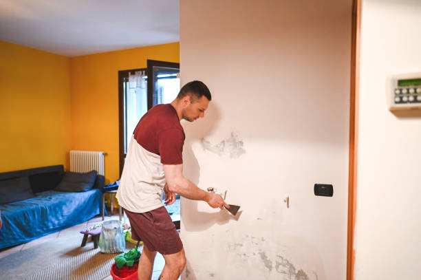 Reliable Marina, CA Mold Removal Solutions